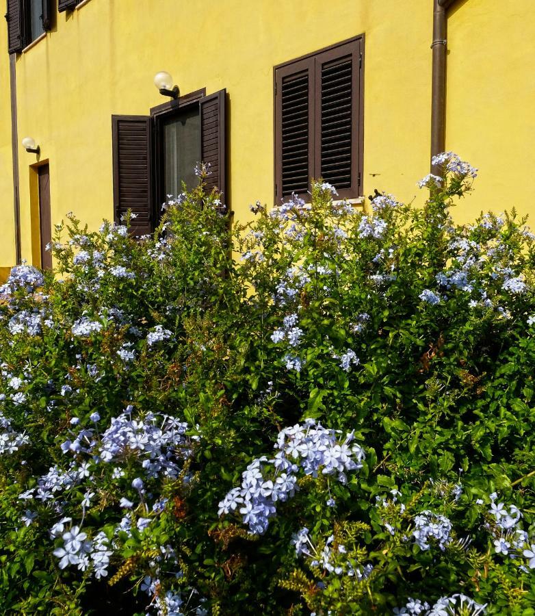 Vistazzurra B&B Ancona Ngoại thất bức ảnh