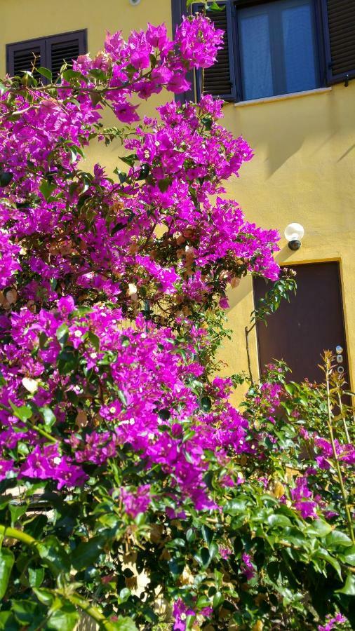 Vistazzurra B&B Ancona Ngoại thất bức ảnh